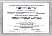 Свидетельство "Перинатальные матрицы" 2005