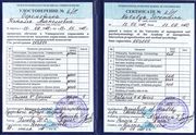Удостоверение Международной научной школы универсологии 2011