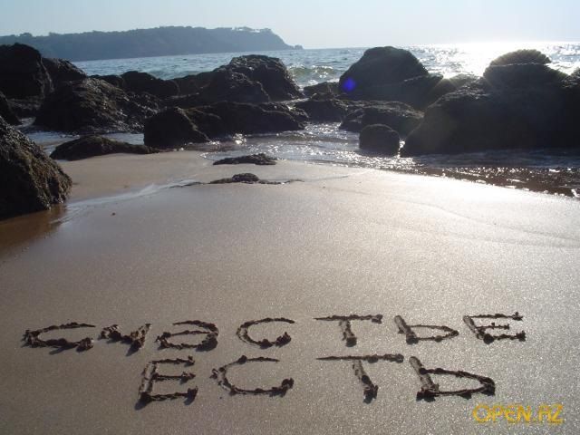 В поисках счастья!