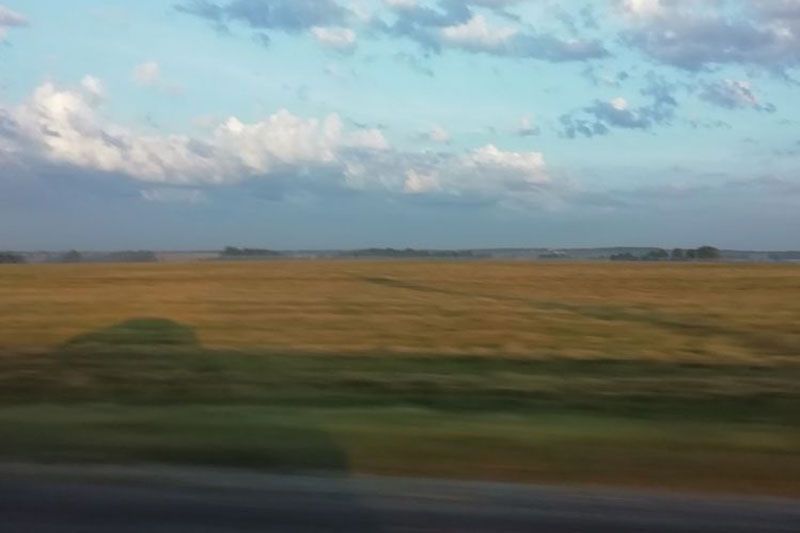 В Беларусь!