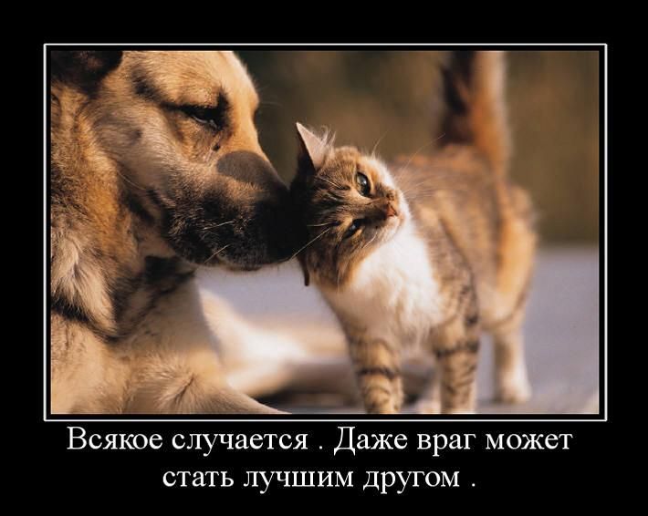 Консультация психолога: Как из врага сделать друга?